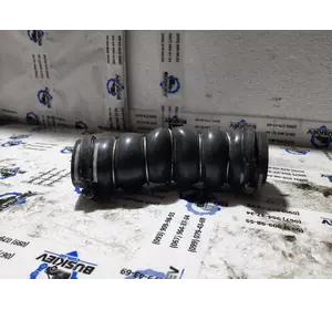 AV616C646HE Ford шланг (патрубок інтеркулера нижній лівий) AV616C646HE Ford шланг (патрубок інтеркулера нижній лівий)