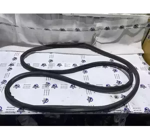 Ущільнювач дверей правий Ford Transit з 2014- рік BK31-V20708-CA Ущільнювач дверей правий Ford Transit з 2014- рік BK31-V20708-CA
