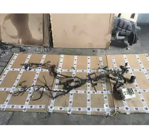 Проводка двигуна Ford Transit з 2002-2013 рік 8T1T-14401-ADB Проводка двигуна Ford Transit з 2002-2013 рік 8T1T-14401-ADB