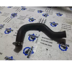 6C1Q8N039BD Ford патрубок охолодження 6C1Q8N039BD Ford патрубок охолодження