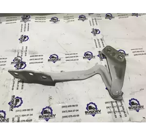 Петля капота ліва Ford Fusion з 2012- рік DS73-F16801-AB Петля капота ліва Ford Fusion з 2012- рік DS73-F16801-AB